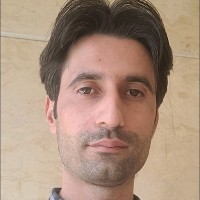 Majid Shafaei