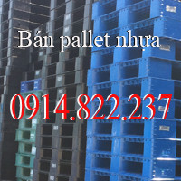 Bán pallet Nhựa