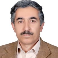 iraj amini