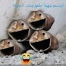 أبو تيم
