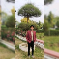 Nishad Nur