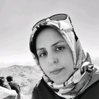 Fatemeh Moallemi