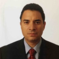 Carlos Rincon Gallardo