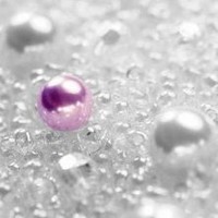 Naukri Consultants India