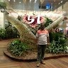 Pradip Rithe