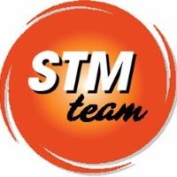 STM Power Transmission Ltd