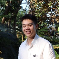 Kenneth Hung