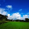 Binoy De