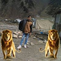 alihassan anxari