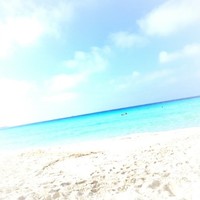Mohamed Salem