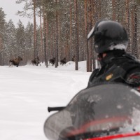 Svansele Bokning