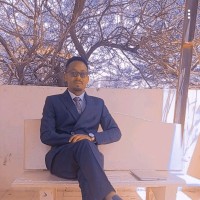 Tadele Hailu