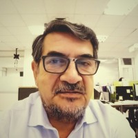 Wilfredo Finschi González