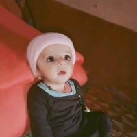 Ab Majeed M