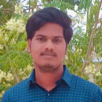 Gogul Raj