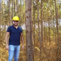 Weslley Henrique Soares Fernandes