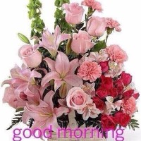 Sujay Sinha