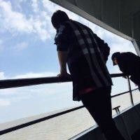 王春锋
