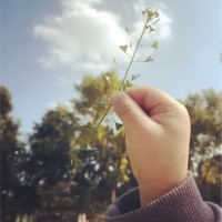 严宇婷