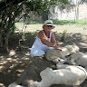 Sandra Beament