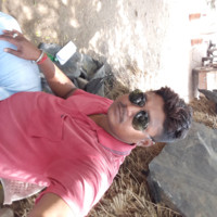 Dipankar Roy
