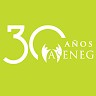 Aseneg SAS