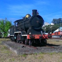 Rui De Paiva Viana