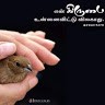 Esther Rani.W