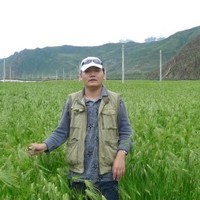 sonny wu