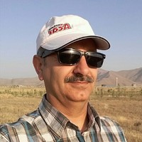 mohammad reza bozorg