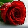 Arshad Uddin