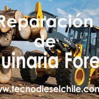 TecnoDiesel Valdivia