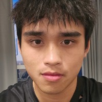 Leyi Chen