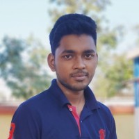 Animesh Ghoroi