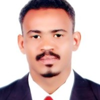 Amir Eltom