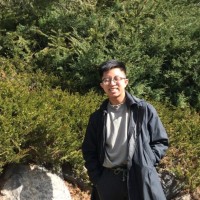 Viet Nguyen