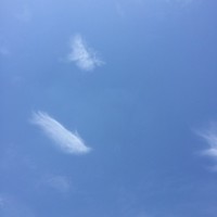李欣洁
