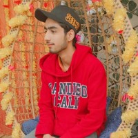 Ali Gull