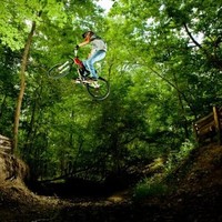 Trek Vandecar