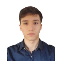 Diego Andre Araujo Salas