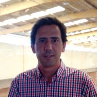 Rui Rosário