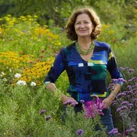 Julie Moir Messervy