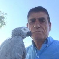 Hassan H. Hassan, Ph.D., P.Geoph.