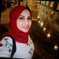 Hanan Nasr