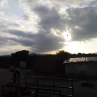 Jose Luis Escorza