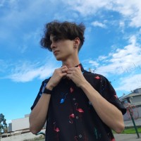 Vinicius Alves Da Silva