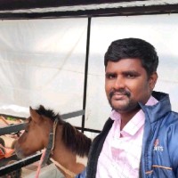 Babu David
