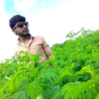 Govardhan Narwade