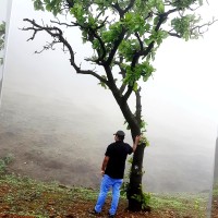 AJAYAKUMAR A