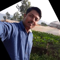 Harish Hari